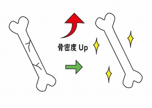 丈夫な骨について～クロワッサンの特集より～