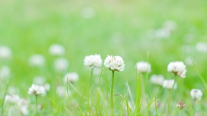 4月のお知らせ